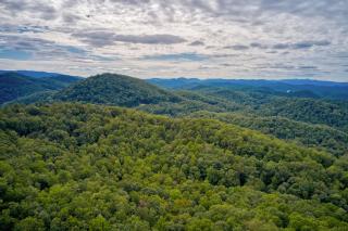 Saluda Cabin Home Amazing Mountain Views Pets Ok - Saluda - 9