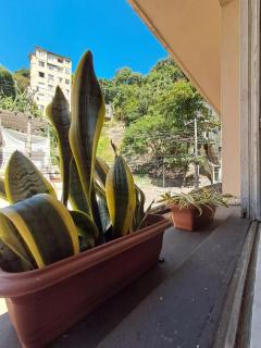 HS Apartamento Rio de Janeiro - Rio de Janeiro - 7
