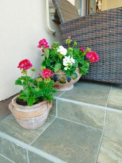 Luna Apartman - Gyula - 6
