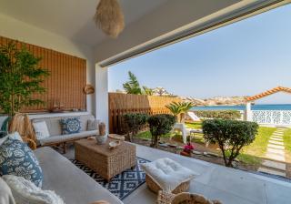 Golden Shellseaside - Ligaria - 8