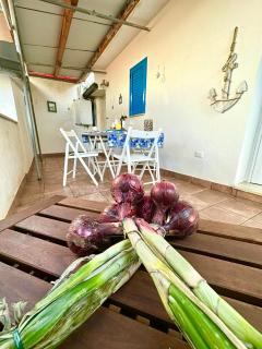 DilettaAnna Apartment with private garden - Tropea - 8