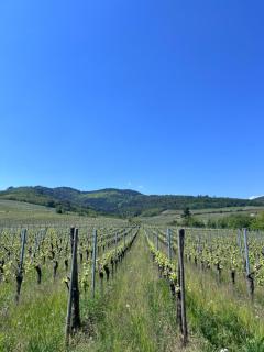 Charme et confort au cœur des remparts - duplex - 2