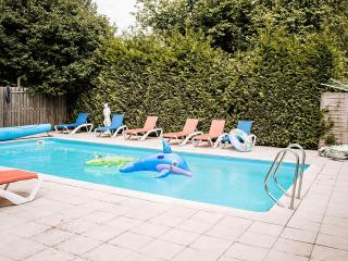 Spacious chalet in a rural location near Giethoorn - Blesdijke - 4