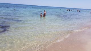 El Sol - San Cataldo - 1