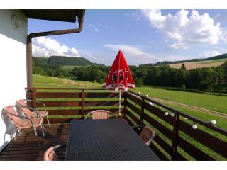 Mansion in Starkov with shared pool - Stárkov - 7