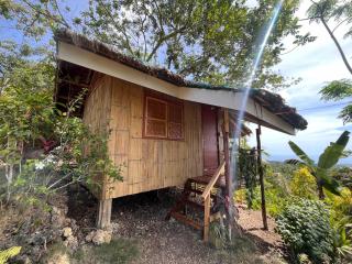 Alindanaw - Siquijor - 0