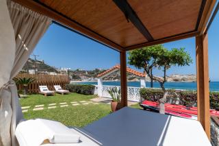 Golden Shellseaside - Ligaria - 1
