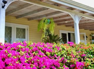 Summer Breeze - Tropical Garden and Private Pool - Jolly Harbour - 6