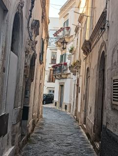 Casa Vacanza LA ROSA - Martina Franca - 7