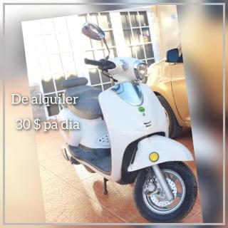 El Renacer - Willemstad - 7