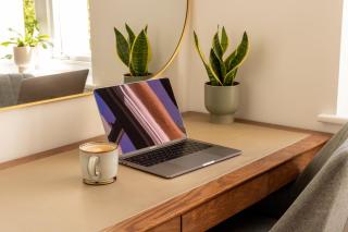 Leafy New Walk and Museum Views - 5