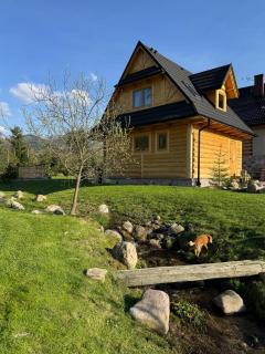 Wooden Chalet WRÓBLOWA CHAŁUPKA przy Dolinie Chochołowskiej - Kościelisko - 5