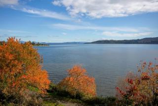 Spacious Family Retreat With BBQ, Across the Road from Lake - Taupo - 9