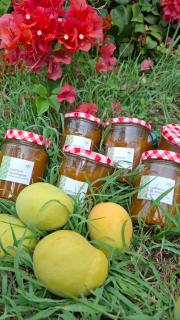 Le Havre du Voyageur - le Balaou - 7