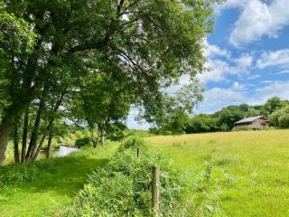 Kingfisher Cabin, Butterwell Farm, Riverside cabin on 40-acre private estate - Bodmin - 8