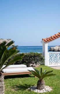 Golden Shellseaside - Ligaria - 0