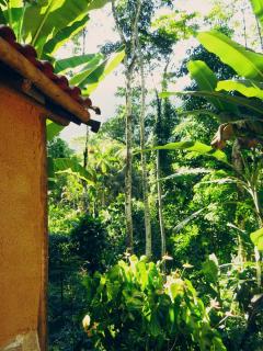 Olhos de Lótus - Espaço Terapêutico - Paraty - 6