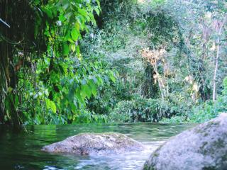 Olhos de Lótus - Espaço Terapêutico - Paraty - 3