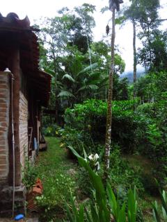 Olhos de Lótus - Espaço Terapêutico - Paraty - 1