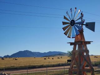 Windnill Ranch - Chino Valley - 0