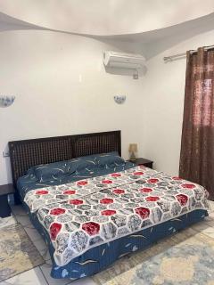Villa fadhloun - Djerba - 2