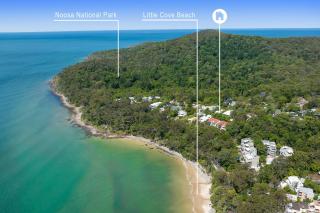 Coastal Serenity at Little Cove - Noosa Heads - 5