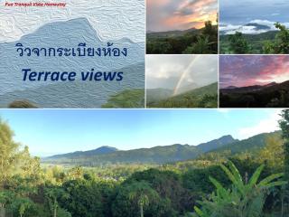 Pua Tranquil Vista Homestay - Pua - 2