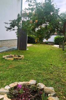 Apartments with a parking space Biograd na Moru, Biograd - 24355 - Biograd na Moru - 5