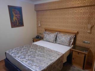 Grand Hisar Hotel - Istanbul - 8