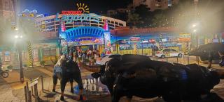 Sunway Resort Suite Linked to Pyramid and Lagoon - 8