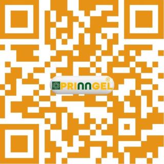 PRINNGEL BOUTIQUE INNs - Puri - 4