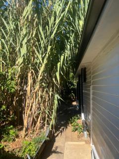 Bird Paradise & mini farm - Bendigo - 9