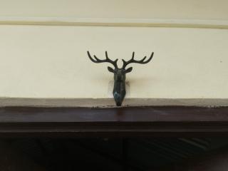 Wild village Homestay - Meghauli - 3
