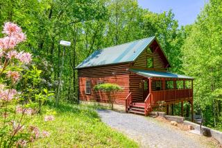 Deer To My Heart, Hot Tub, 1089 of FREE Attraction tickets for each paid day, Dollywood and More - Sevierville - 0