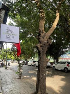 SQUIRRELHOME District8 - 3