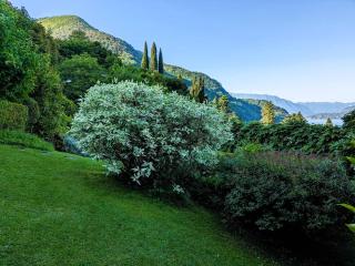 Beautiful new apartment with private entrance and parking 5 min walking from center - Bellano - 7