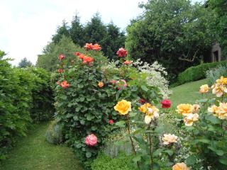 Beautiful new apartment with private entrance and parking 5 min walking from center - Bellano - 3