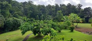 Appartement moderne à Goyave avec jardin et terrasse - 9