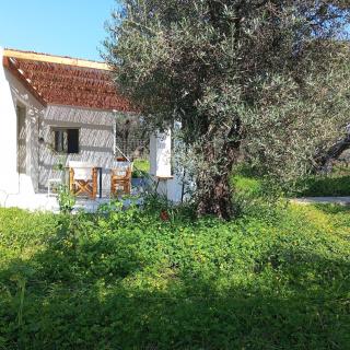 Cottage 2 ησυχαστήριο, άνετο, οικολογικό - Sissi (Sisi) - 8