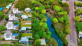 Angel with Honeybee Kids - 5