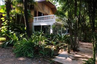ADA House CNX - Chiang Mai - 1