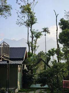 SylVan Resort - Wayanad - 9