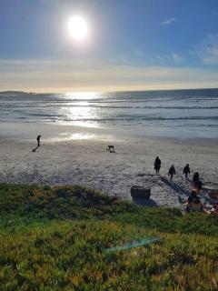 Goarges Tiny Home! - Pebble Beach - 3