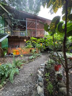 Orgánico Punta Riel - Cahuita - 8