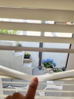 Stay Dinnerf Seoul #Cozy yard #3Room - Seul - 4