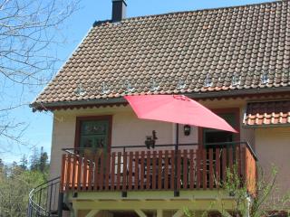 Ferienwohnung Schönmünzblick - Baiersbronn - 9