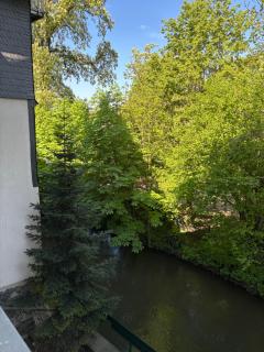 Ferienwohnung direkt an der Lahn - 1