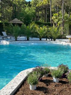 Dune Prestige & Chalets - Bibione - 4