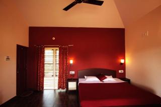 Dandeli Chalet - Dandeli - 7