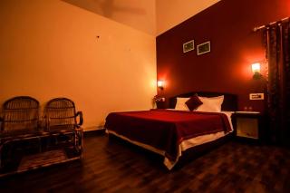 Dandeli Chalet - Dandeli - 6